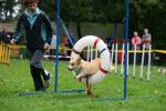 Agility, Odette